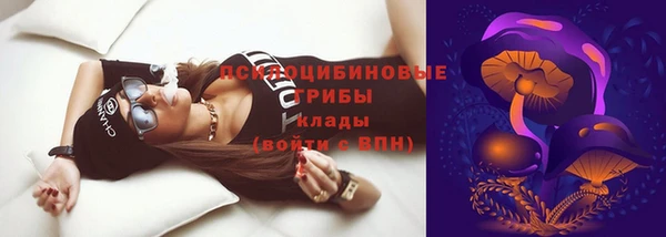 соль ск Абинск