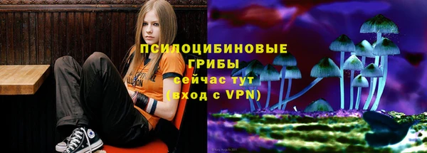 соль ск Абинск