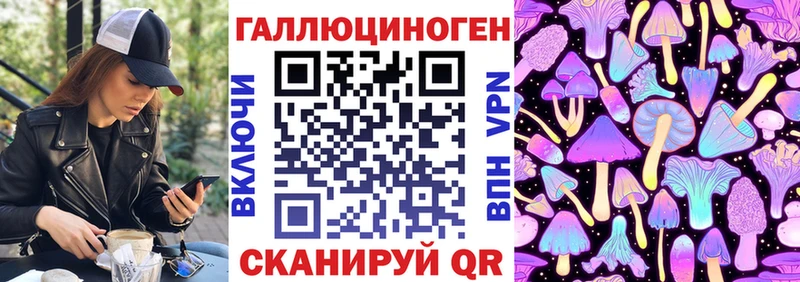 Псилоцибиновые грибы Cubensis  Элиста 